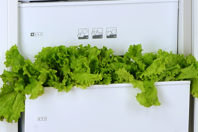 Холодильник с нижней морозильной камерой POZIS RK-149 А   бежевый от магазина Лидер