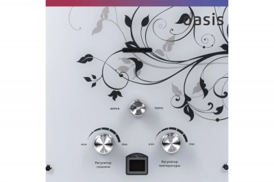 Водонагреватель газовый OASIS Glass 24 ZG от магазина Лидер