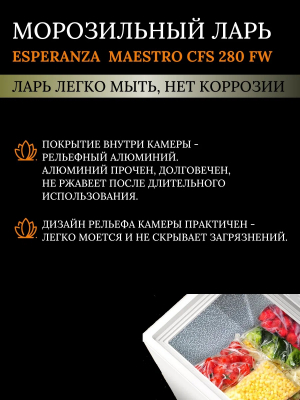 Морозильный ларь ESPERANZA Maestro CFS 280 FW от магазина Лидер