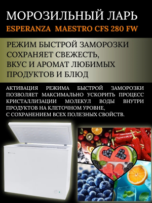 Морозильный ларь ESPERANZA Maestro CFS 280 FW от магазина Лидер
