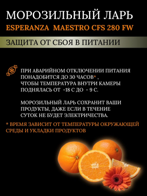 Морозильный ларь ESPERANZA Maestro CFS 280 FW от магазина Лидер